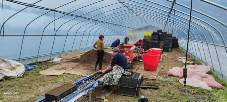 姜畲镇清泉村抢抓农时开启春季育秧