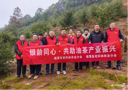 姜畲镇：银龄专家送技下乡 助力油茶特色产业发展