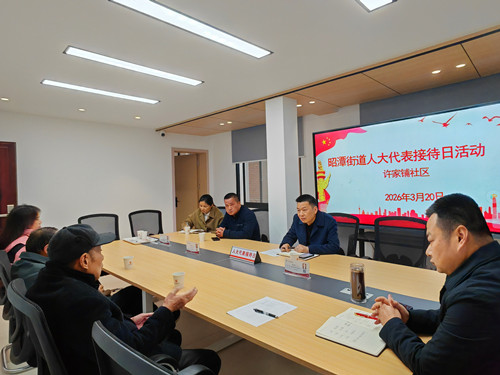 许家铺社区：人大代表接待日 架起服务群众“连心桥”