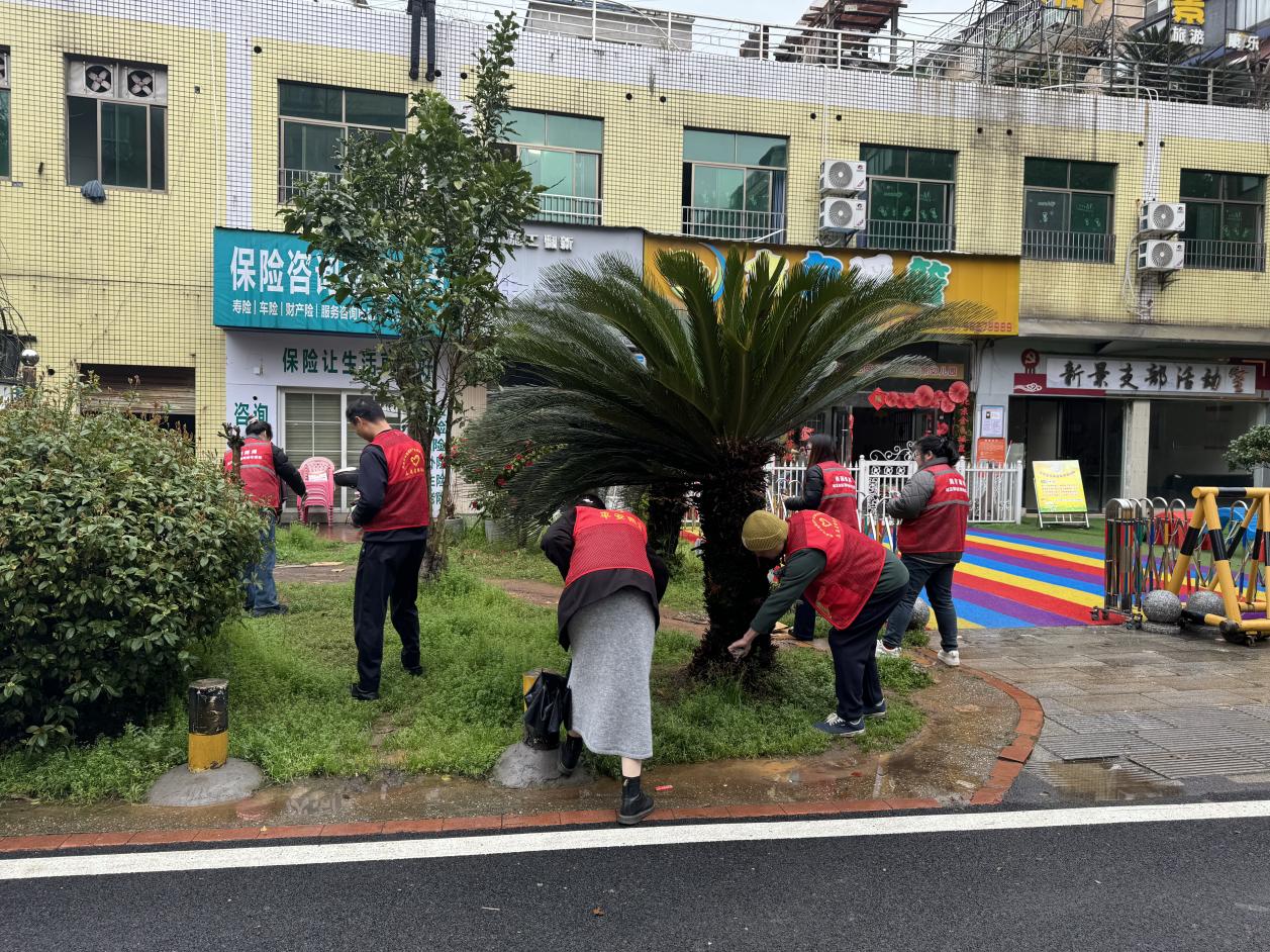 小投入撬动大变化——三义井社区“美丽家园计划”环境微改造见实效