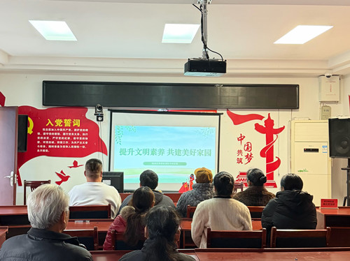 砂子岭社区：宣讲实践齐发力 推动“双提升”行动走深走实