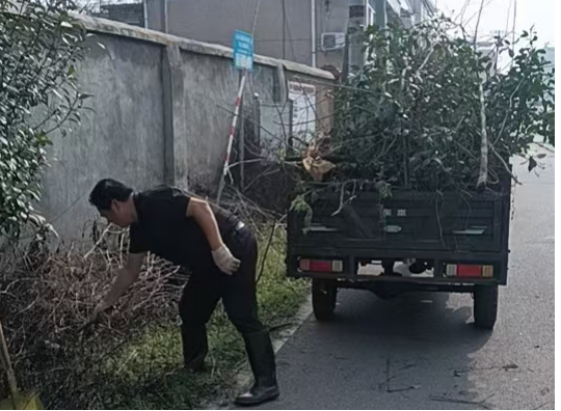 棋盘村：干群同心绘新景 环境整治促“双提升”