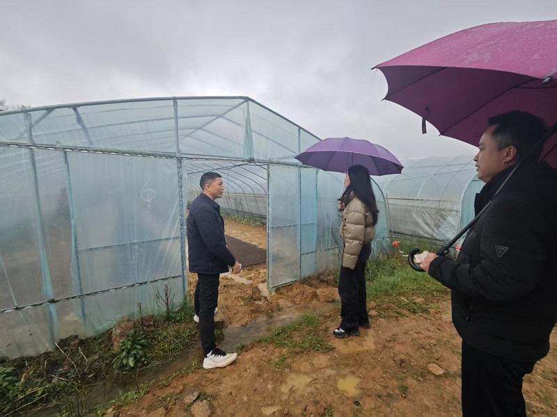 鹤岭镇：科技备耕送服务 田间地头助增收