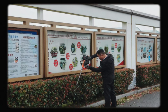 青亭村：春季绿化齐上阵 人居环境“双提升”