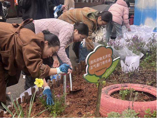广场街道“双提升”行动：以花为媒焕新颜 共治共享促提升
