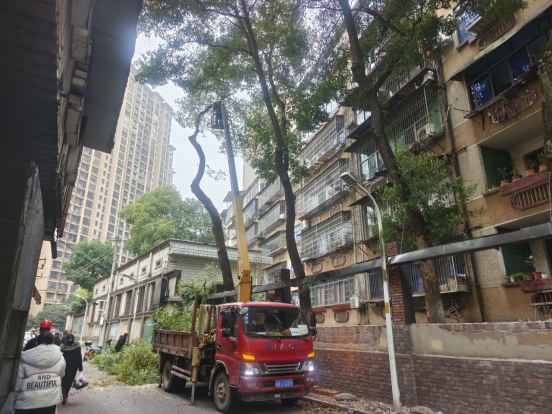 万新社区：协商共治除隐患 “双提升”行动暖民心