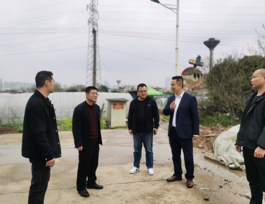 先锋街道：政协履职聚合力 服务发展显担当