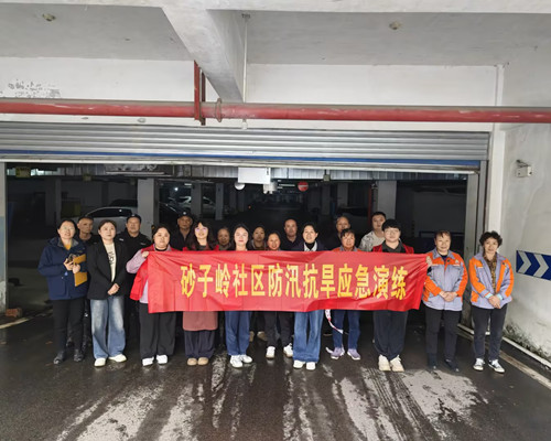 砂子岭社区：以演筑防守家园 以练促安护民生