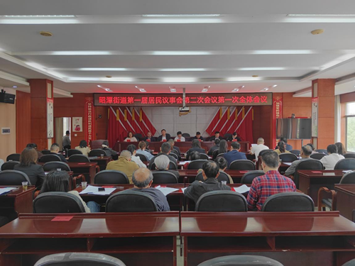 聚力民生议事 共绘幸福图景——昭潭街道召开年度居民议事会