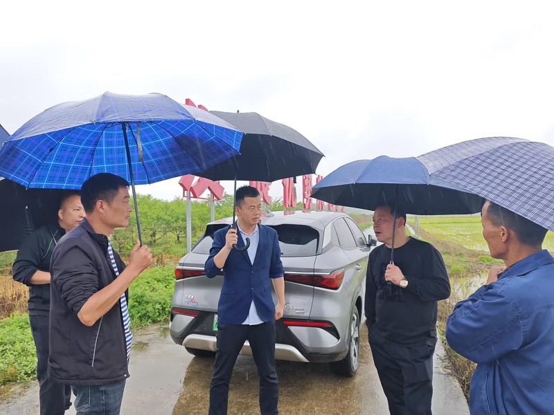 谷雨好时节，春耕生产忙——鹤岭镇抢抓农时，全力保丰收