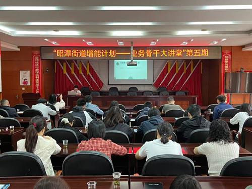 强基固本提能增效 当好民生福祉“守护人”——昭潭街道增能计划——业务骨干大讲堂