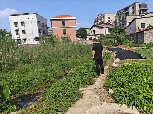 昭潭街道：田间地头日巡查 筑牢禁烧“防火墙”