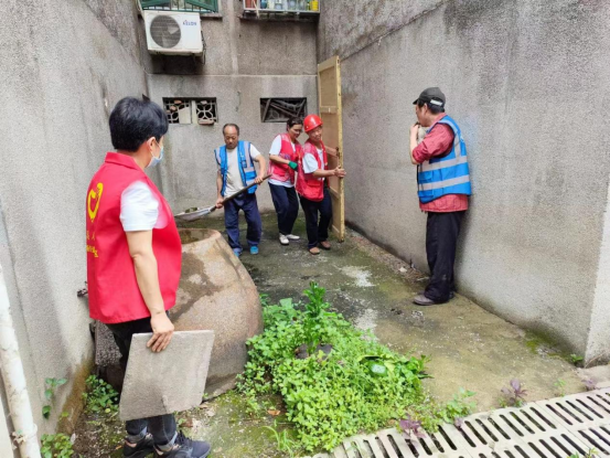 广场街道开展雨后病媒生物防治专项清扫行动