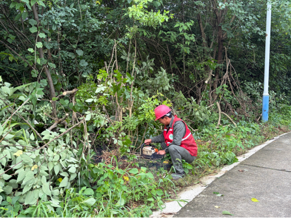 响水乡黄龙村开展道路环境集中整治行动