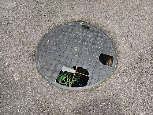 唐兴寺社区：惠民资金办实事 更换井盖保平安