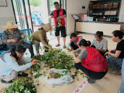 棋盘村：整治撂荒耕地 干群同心种薯复耕促增收