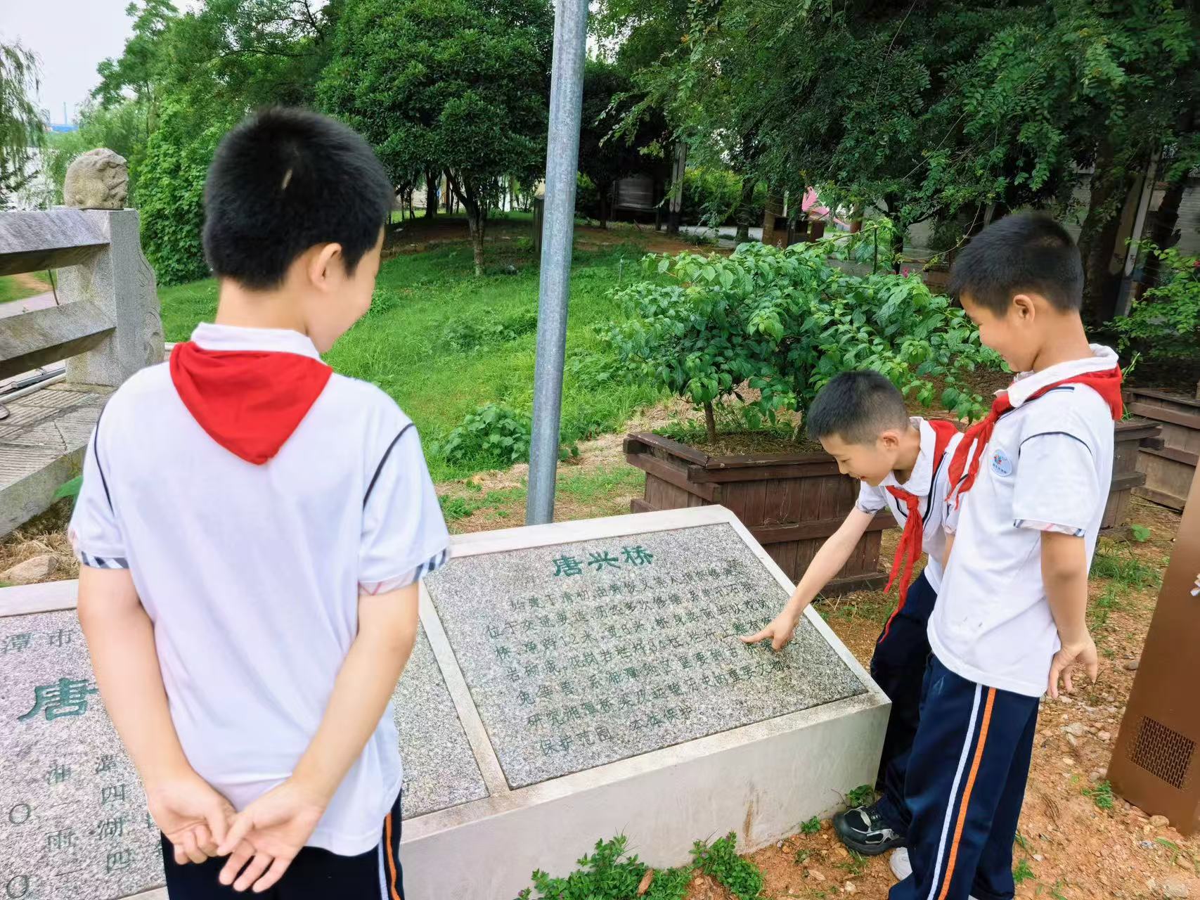 “桥”见精彩，筑梦未来——风车坪学校开展少先队德育实践活动