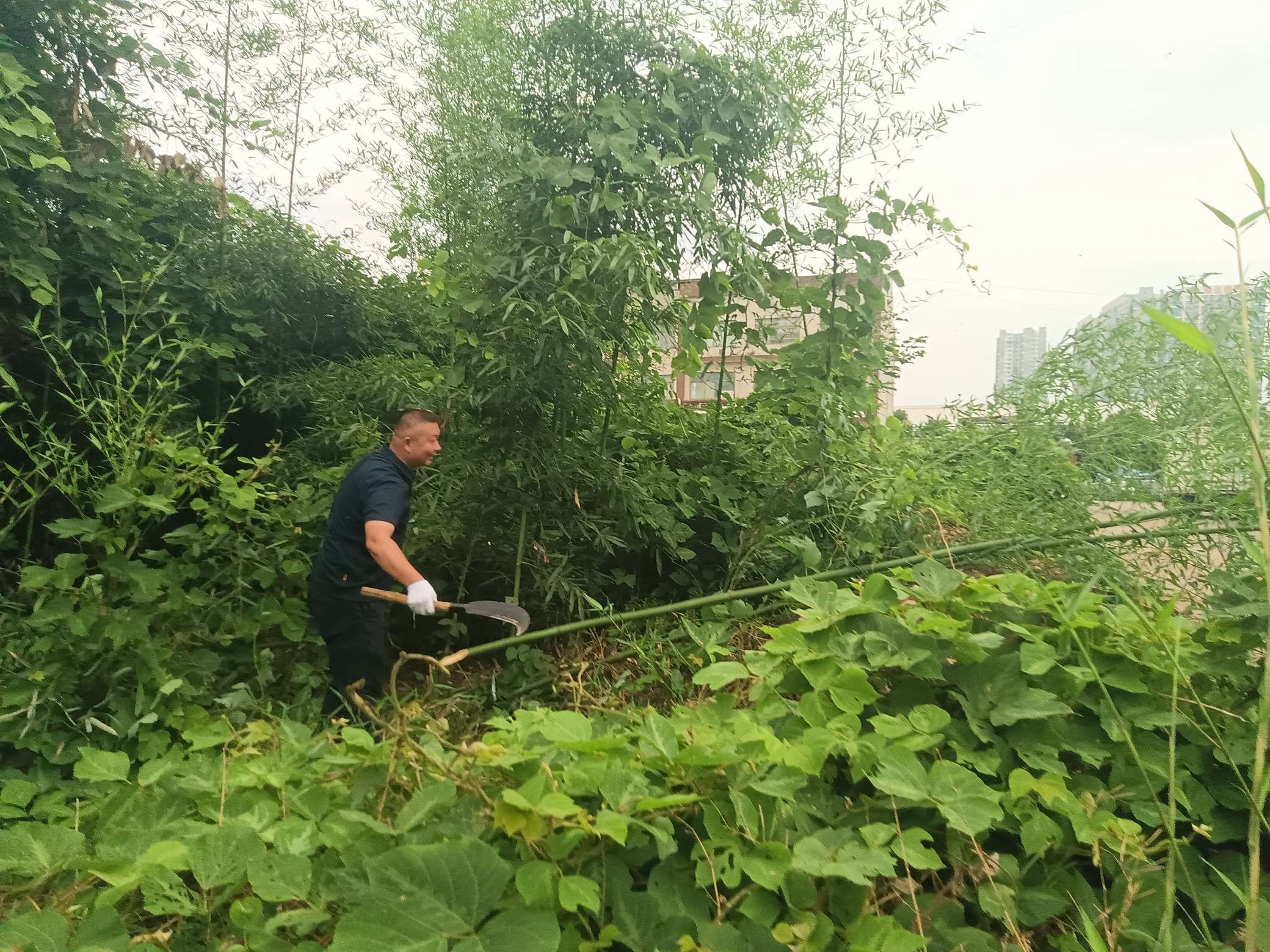和平街道桃李社区：安装“爱心救生竿”，筑牢防溺水“安全堤”
