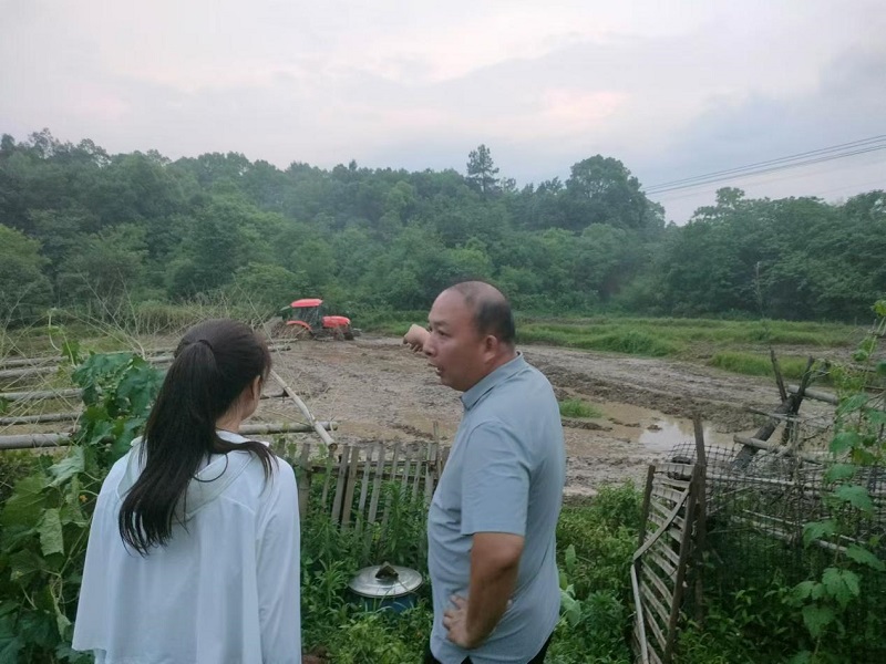 唤醒“沉睡”土地 筑牢粮仓“耕”基——鹤岭镇多措并举推进撂荒耕地治理