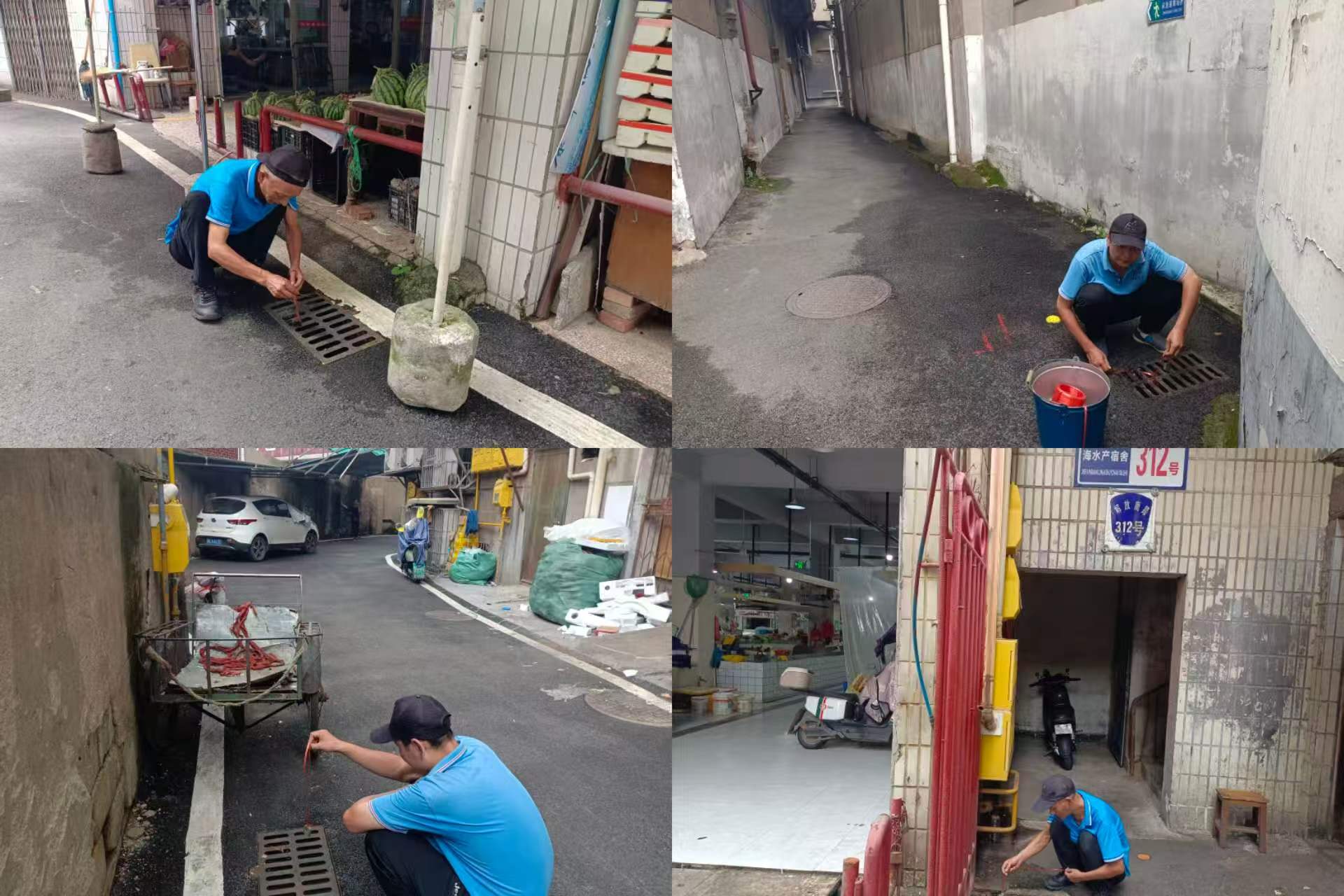 风车坪社区开展海水产市场周边专项灭鼠行动 筑牢公共卫生安全防线