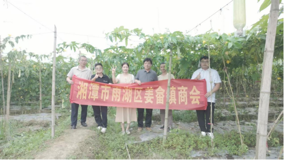 政企同心纾瓜农困境  姜畲商会以实干助力乡村振兴