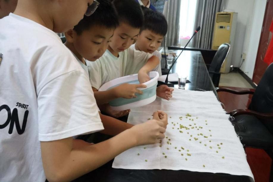 羊牯村暑期科普公益课堂圆满落幕