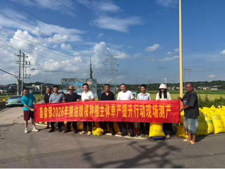 姜畲镇新城村实测水稻高产，种粮大户耕作提质增收