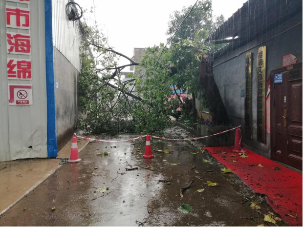先锋街道：险情突发，多方联动消除重大安全隐患