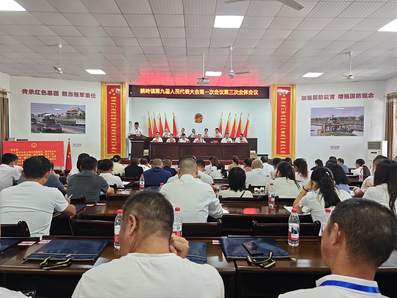 凝心聚力谋发展，团结奋进向未来——鹤岭镇第九届人民代表大会第一次会议闭幕