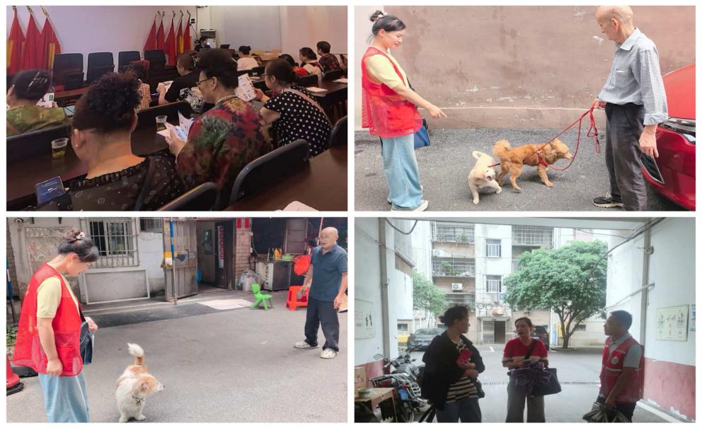 古梁巷社区：文明养犬“犬”力以赴，巷里善治守护邻里和谐