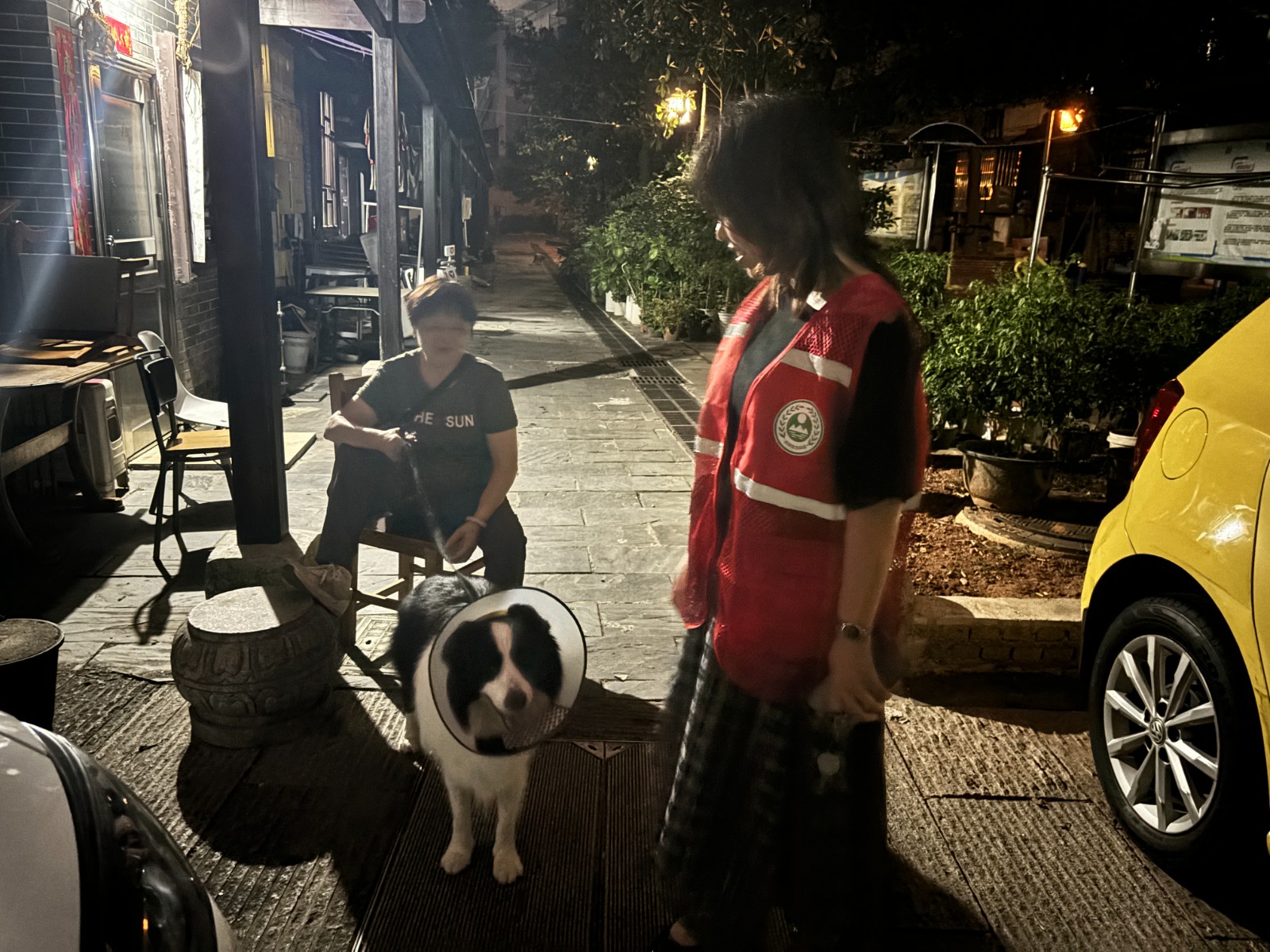 风车坪社区开展文明养犬夜间劝导宣传行动