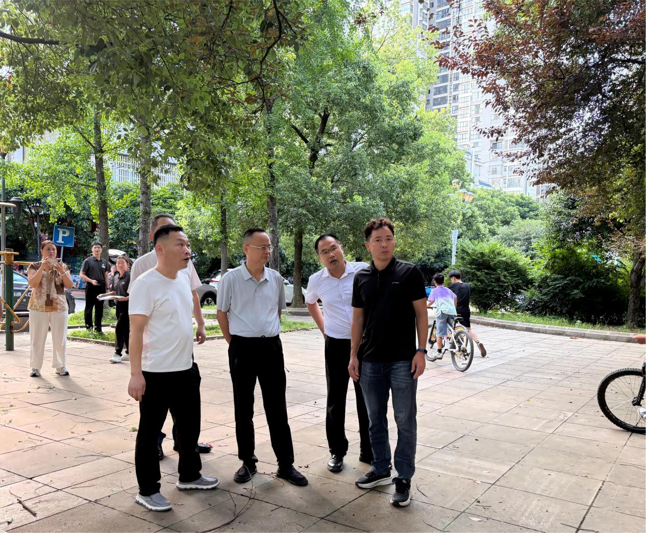 和平街道人大工委：以“民生微实事”为抓手 推动杉山社区南片区公园焕新升级