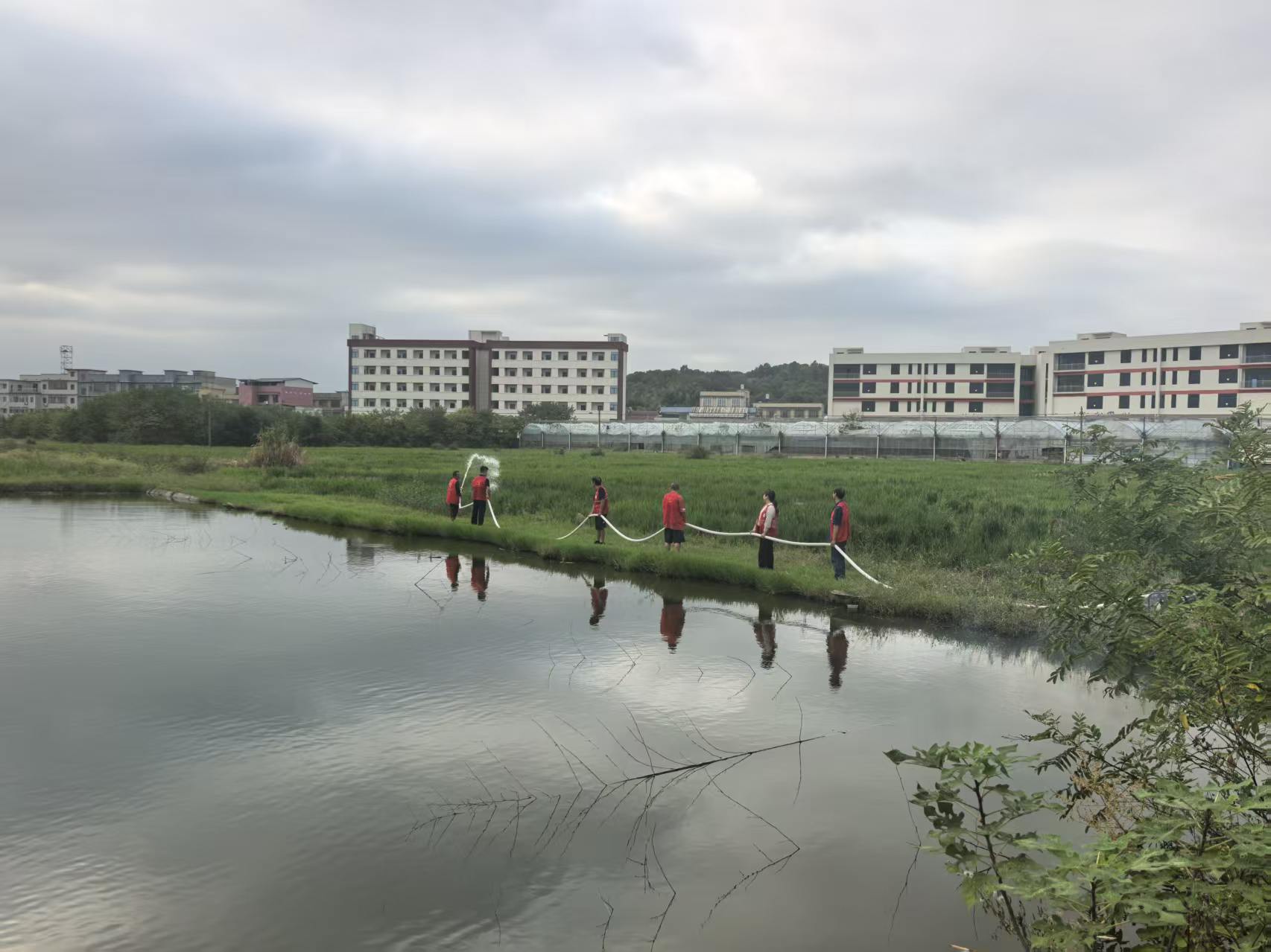 姜畲镇泉塘子村抓实常态化山林巡护工作