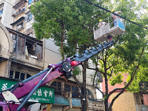 大码头社区：修剪隐患树枝 共保一方平安