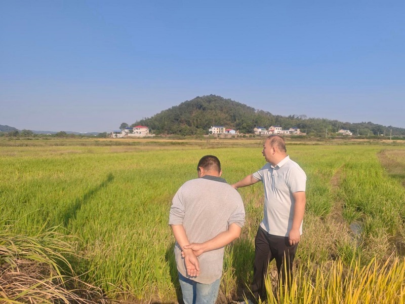 鹤岭镇：抓实病虫害防控，筑牢粮食安全防线